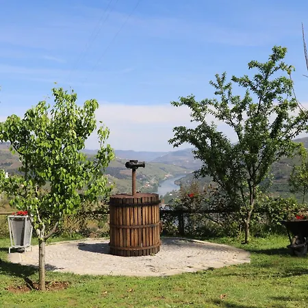 Casa Vale Do Douro Bed & Breakfast Mesao Frio