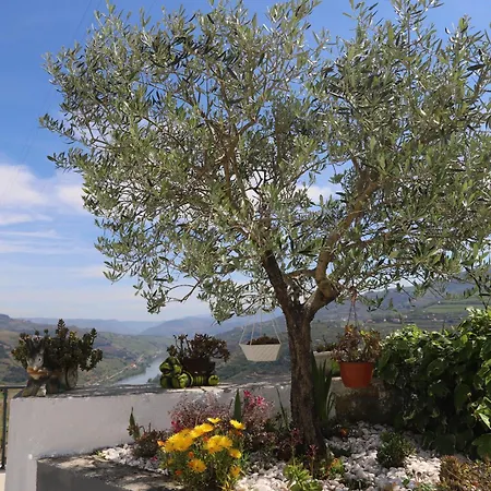 Bed & Breakfast Casa Vale Do Douro 3*