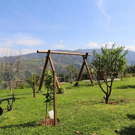 Casa Vale Do Douro Bed & Breakfast Mesao Frio