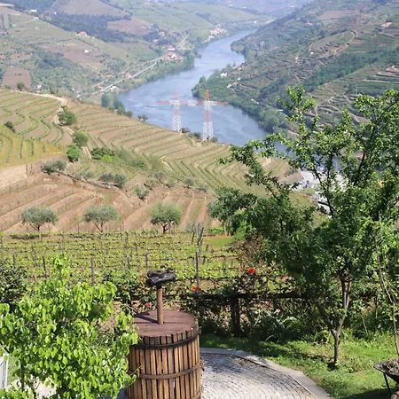 Casa Vale Do Douro 4* Mesão Frio