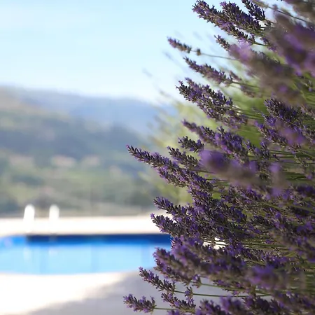 Casa Vale Do Douro Bed & Breakfast 4*