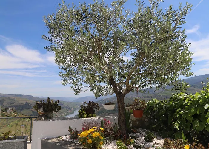 B&B Casa Vale Do Douro 4*