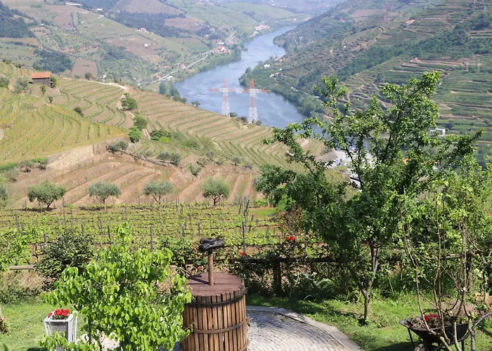 Casa Vale Do Douro 4* 메사오프리오